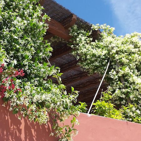 Gato Preto De Silves - Adults Only Bed and Breakfast Εξωτερικό φωτογραφία