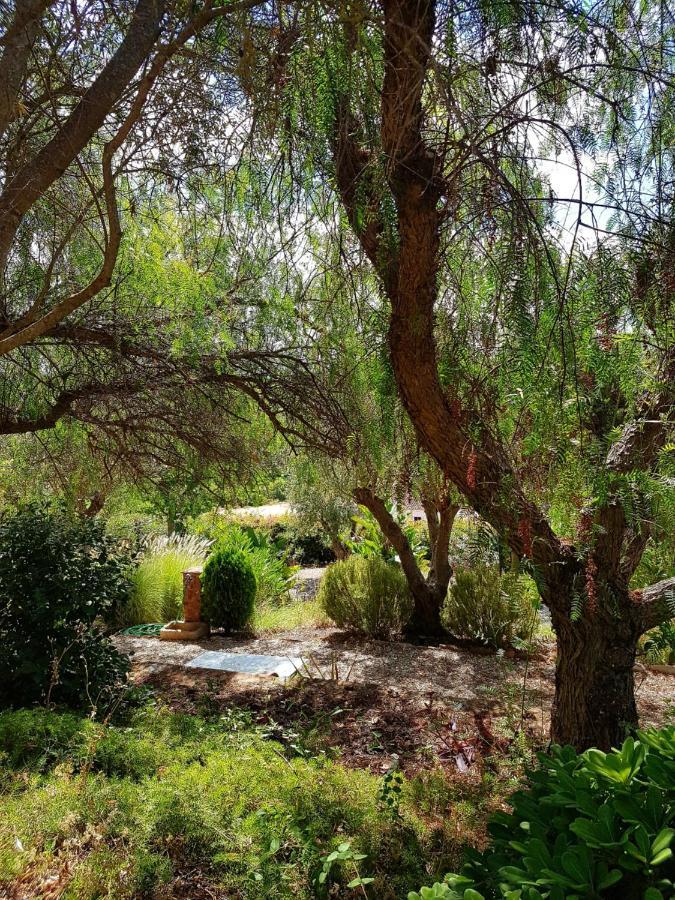 Gato Preto De Silves - Adults Only Bed and Breakfast Εξωτερικό φωτογραφία